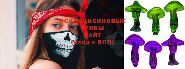 экстази Богородицк
