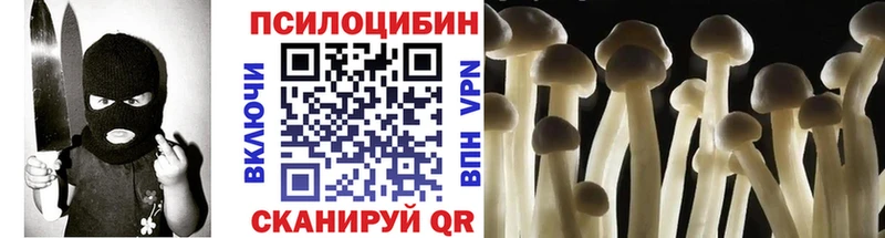 где продают наркотики  Кудрово  Псилоцибиновые грибы Psilocybine cubensis 